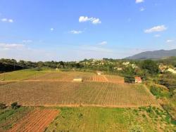 #850 - Área para Venda em Jundiaí - SP - 2